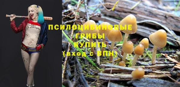 первитин Киреевск