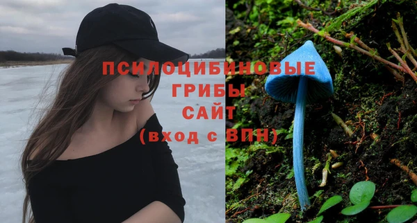 трава Кинешма