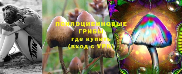 дживик Касимов