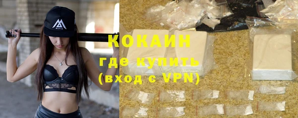 дживик Касимов