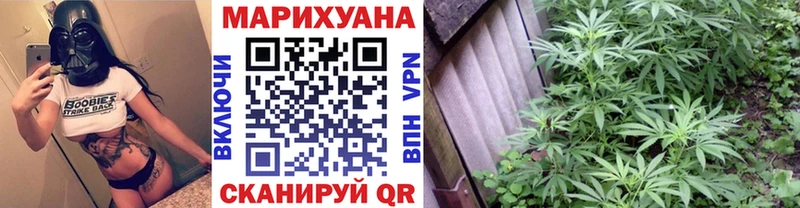 Купить где  Магадан  Шишки марихуана MAZAR 